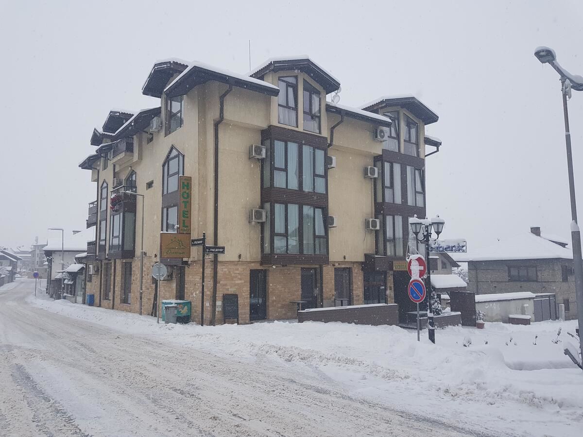 Отель Family Hotel Elitsa Банско-4