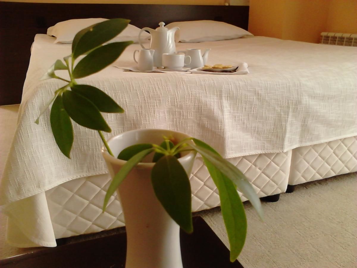 Отель Family Hotel Elitsa Банско-36