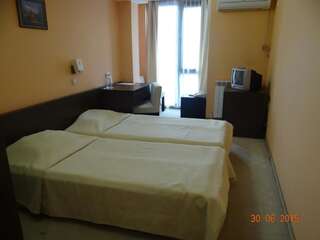 Отель Family Hotel Elitsa Банско Двухместный номер с 1 кроватью-8