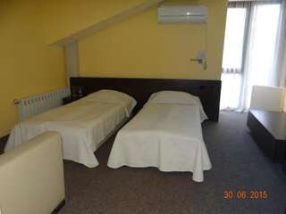 Отель Family Hotel Elitsa Банско Двухместный номер с 1 кроватью-9