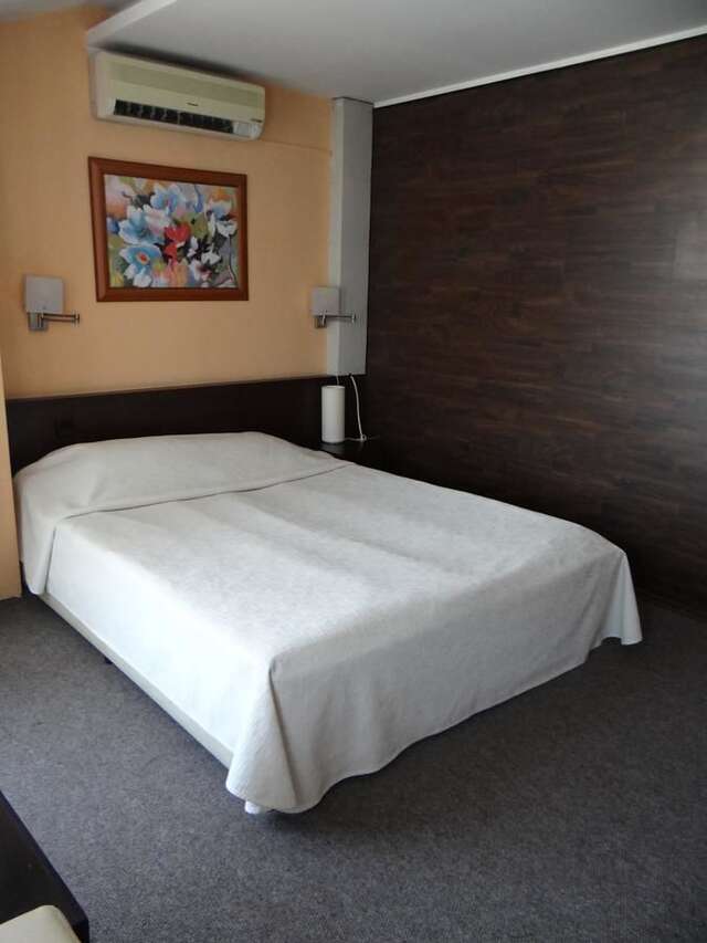 Отель Family Hotel Elitsa Банско-22