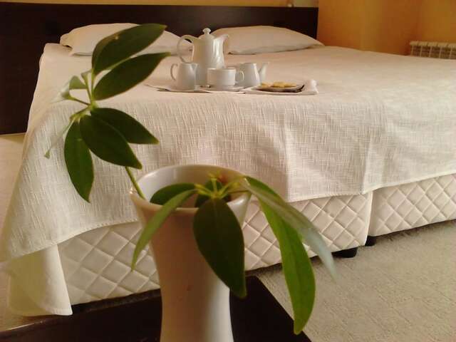 Отель Family Hotel Elitsa Банско-35