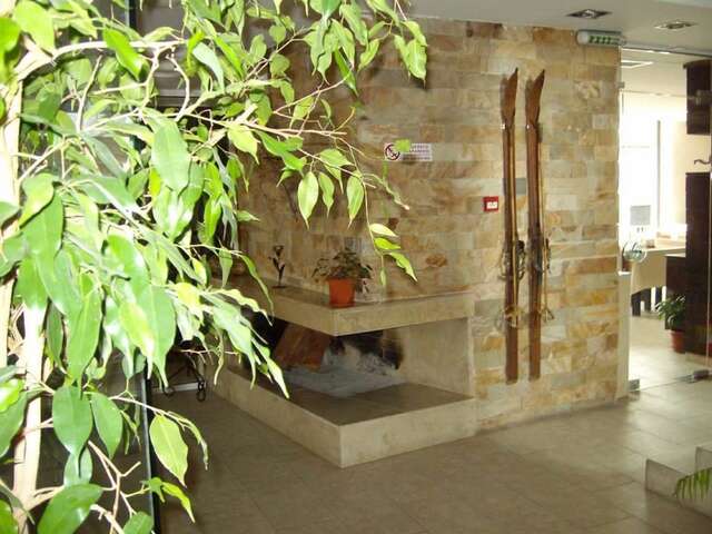 Отель Family Hotel Elitsa Банско-46
