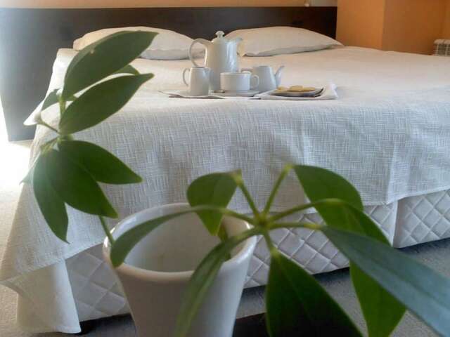Отель Family Hotel Elitsa Банско-47